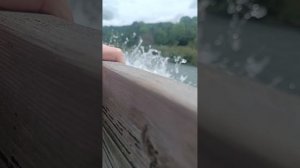 1000032925.mp4