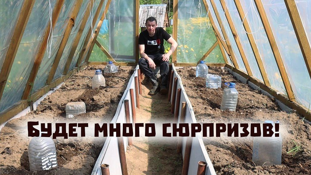 Ударились в огородные эксперименты! Что вырастет в итоге?