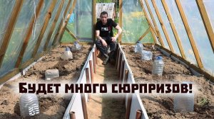 Ударились в огородные эксперименты! Что вырастет в итоге?