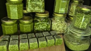 Сезонная заготовка ЗЕЛЕНОГО ЛУКА разными способами ЗЕЛЕНЫЙ ЛУК на зиму с сохранением вкуса, аромата