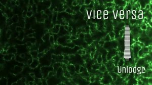 Unlodge - Vice versa #bass_house #acid_house
