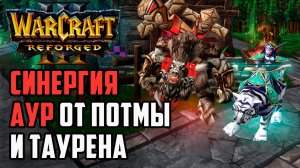 Синергия Аур от Тиранды и Кэрна: Starbuck Pato vs Lawliet Soin Warcraft 3 Reforged
