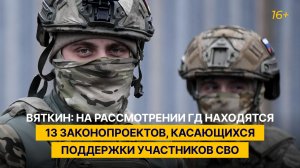 Вяткин: на рассмотрении ГД находятся 13 законопроектов, касающихся поддержки участников СВО