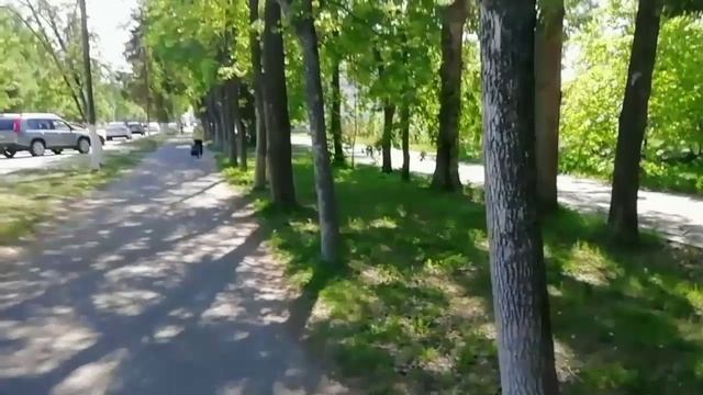 Если пионерам посадить деревья