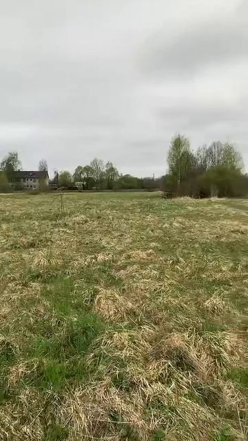 12781257 смотреть онлайн