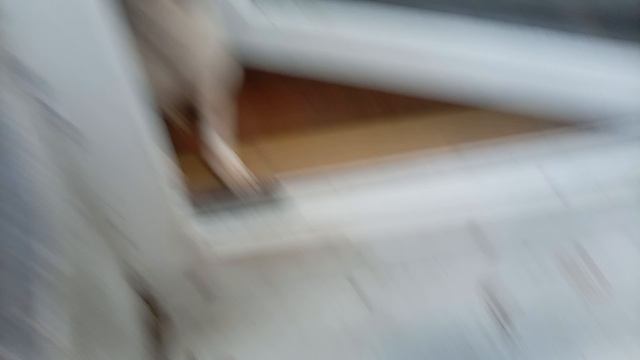 295.mp4 смотреть онлайн