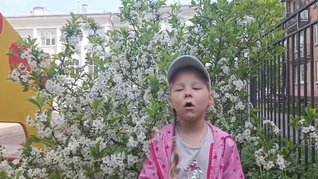 Прогулка по Кронштадту
