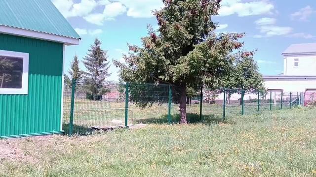 VID_20260519_132608