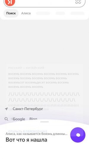 смешное видео с Алисой