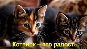 Котенок – это радость.
