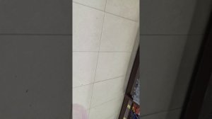 зашла в магазин и купила нори