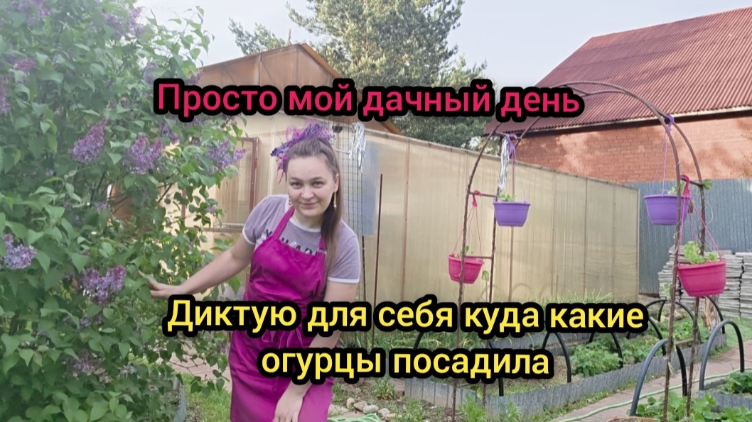 Влог Май 2026 Просто мой дачный день Куда какие огурцы посадила