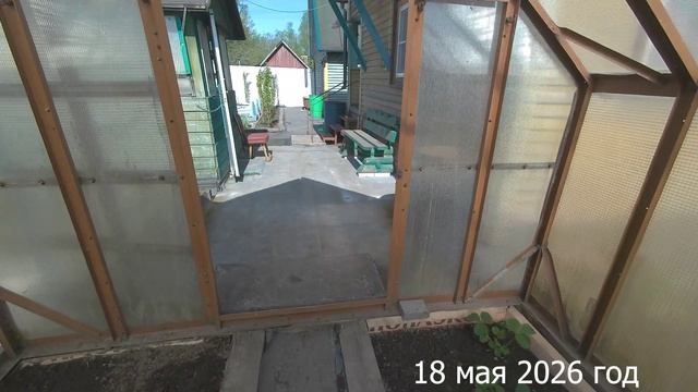 7 соток. Зацвела клубника. Хроника 18 мая 2026 год
