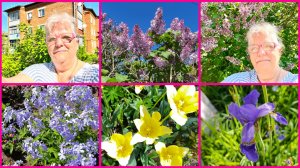 19.05.26 🌺ВСЁ ВРОДЕ ПОСАДИЛИ 🌺 ПОКА НЕ ВЯЖЕТСЯ , ЧИТАЮ 🌺 КОММЕНТАРИИ 🌺