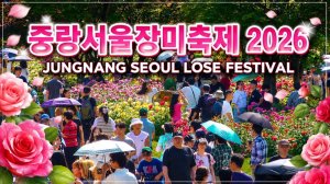 중랑 서울장미축제 2026 개장! 서울에서 가장 예쁜 축제! 맞나요! 서울여행워커