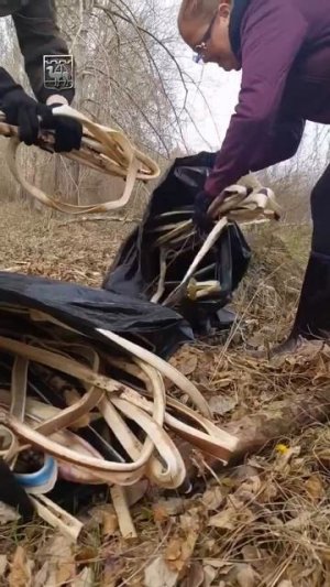 Место силы: в Челябинске начинается обустройство экотропы сквозь краснокнижные заросли