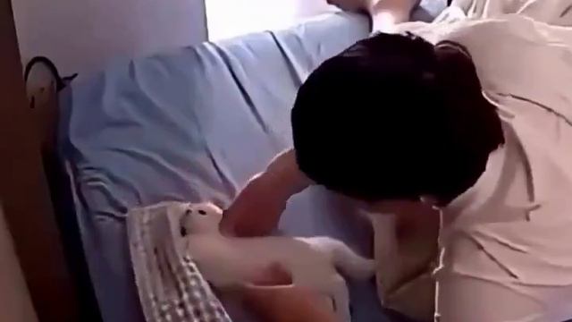 Он не мог уснуть, пока ему не сделали подушечку