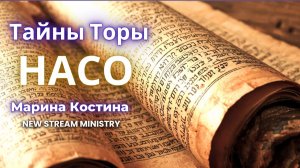 Недельный разбор Торы Насо Марина Костина NSM