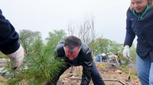 Новый сквер с видовыми площадками и озеленением появился на сопке Саперной во Владивостоке.