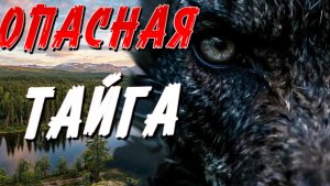 ТАЁЖНАЯ ЖУТКАЯ ИСТОРИЯ. СЛУШАТЬ БЕСПЛАТНО АУДИО КНИГУ. ИСТОРИИ ИЗ ЖИЗНИ.