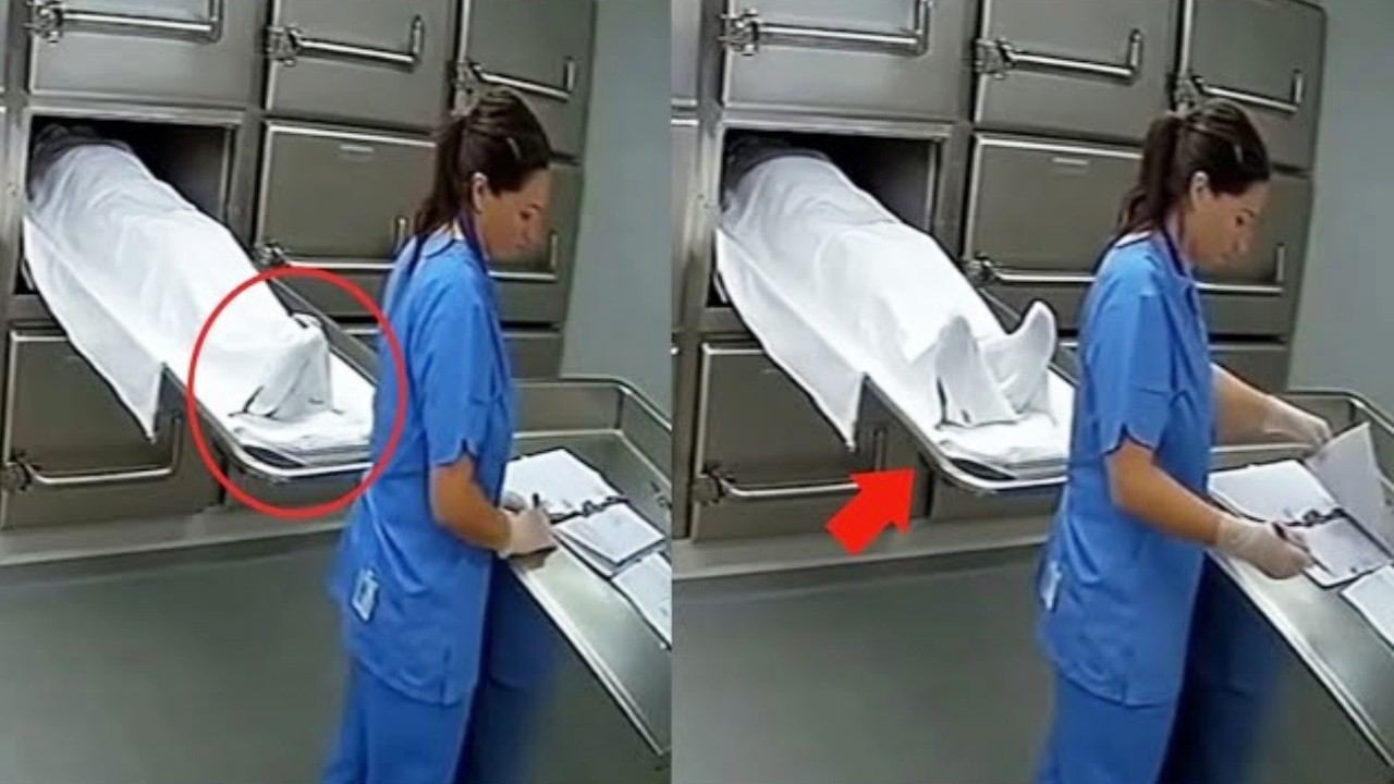Эта Камера Наблюдения Сняла Такое, что Нужно Увидеть