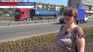 Около 45 тысяч цветов планируют высадить в Ленинском районе Нижнего Новгорода