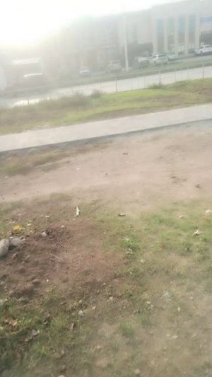 У нас Волгодонске доделали дорожку