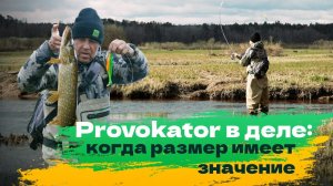 Provokator в деле: Когда размер имеет значение