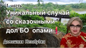 1 часть. Уникальный случай со сказочными дол БО опами❗️