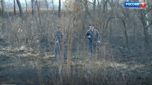 Лесопожарная обстановка в Еврейской автономии стабилизировалась