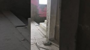 заброшка