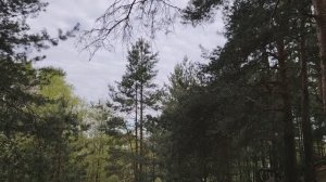 О нашей современной жизни в обществе
