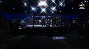 Алиса Арделеан против Полианы Вианы. UFC Fight Night