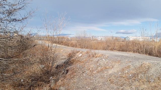 VID_20260519_171411