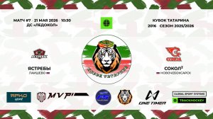 КУБОК ТАТАРИНА 20-21 мая Матч 7 «Ястребы» г. Лаишево - «Сокол-2» г. Новочебоксарск
