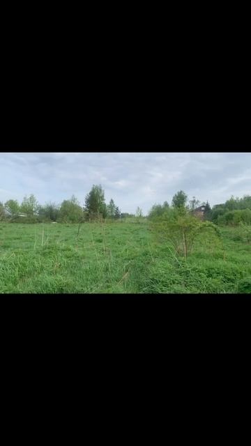 VID_20260519_150723 смотреть онлайн