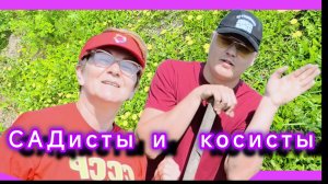 Обработка картошки перед посадкой.