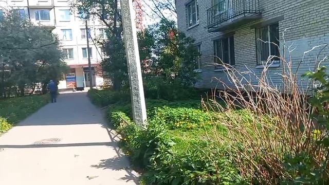19 мая 2026. День Пионерии.