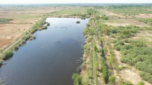 Большое Царёво 3