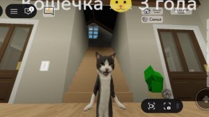 мяу