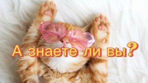 А знаете ли вы?