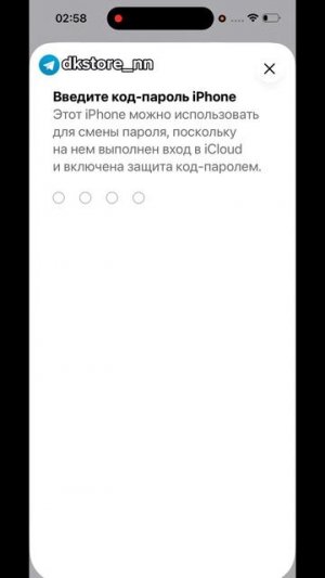 @dkstore_nn