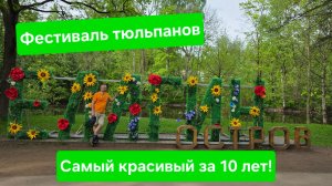 Фестиваль тюльпанов на Елагином острове в Санкт-Петербурге. Такой красоты я не видел у нас никогда!