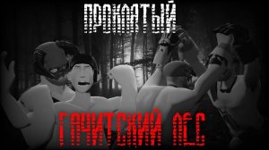 ПРОКЛЯТЫЙ ГАЧИТСКИЙ ЛЕС   МГЕ СТРАШИЛКА   МГЕ СТАЛКЕР #5