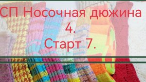 СП Носочная дюжина 4. Старт 7