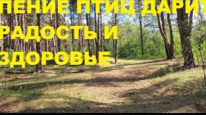 ИСЦЕЛЕНИЕ ДУШИ И СЕРДЦА ПЕНИЕМ ПТИЦ - ЭТО ВОЗМОЖНО. ЧЕРЕЗ ПРИРОДУ МОЖНО ОСОЗНАТЬ ВЕЛИЧИЕ ТВОРЦА!!!