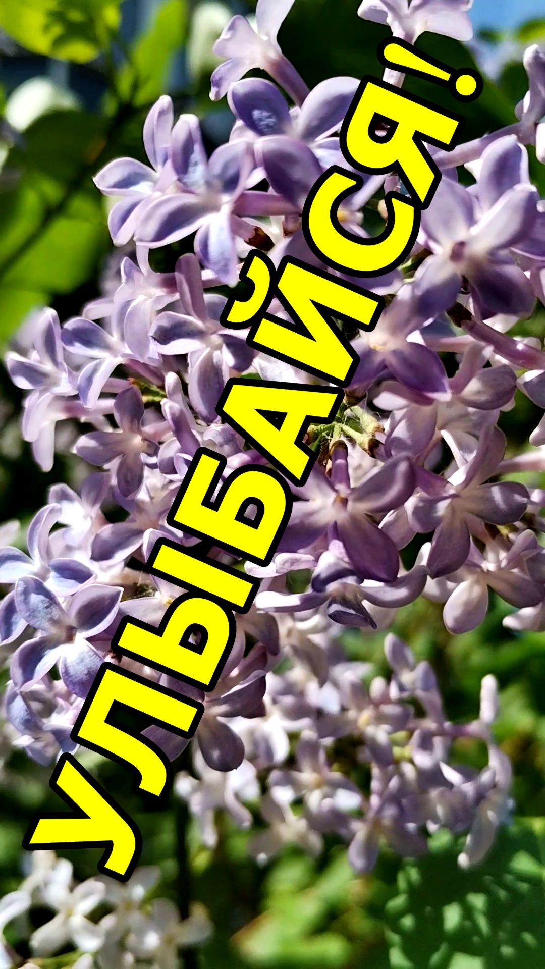 УЛЫБАЙСЯ😉