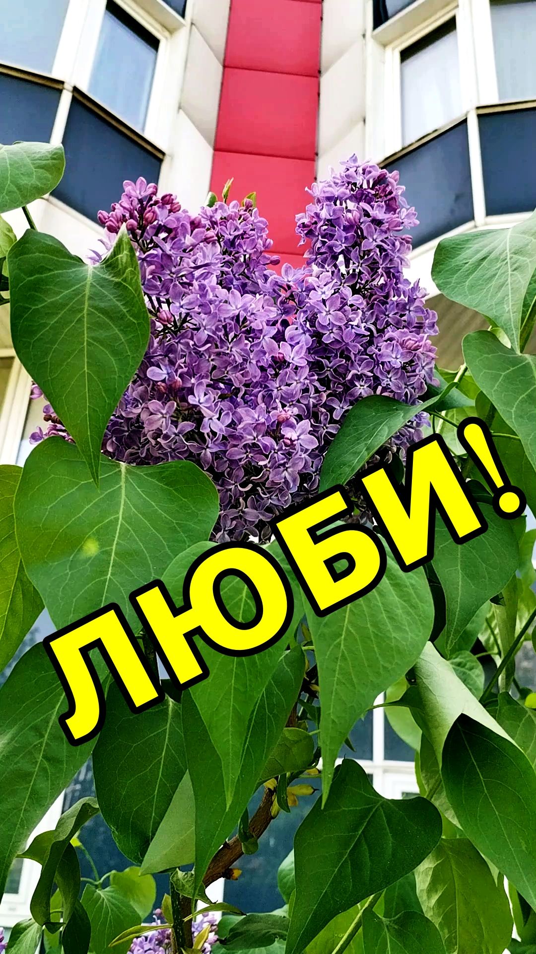 ЛЮБИ💖