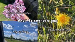 влог выходного дня: дача, травник и подарок сестре 🍰