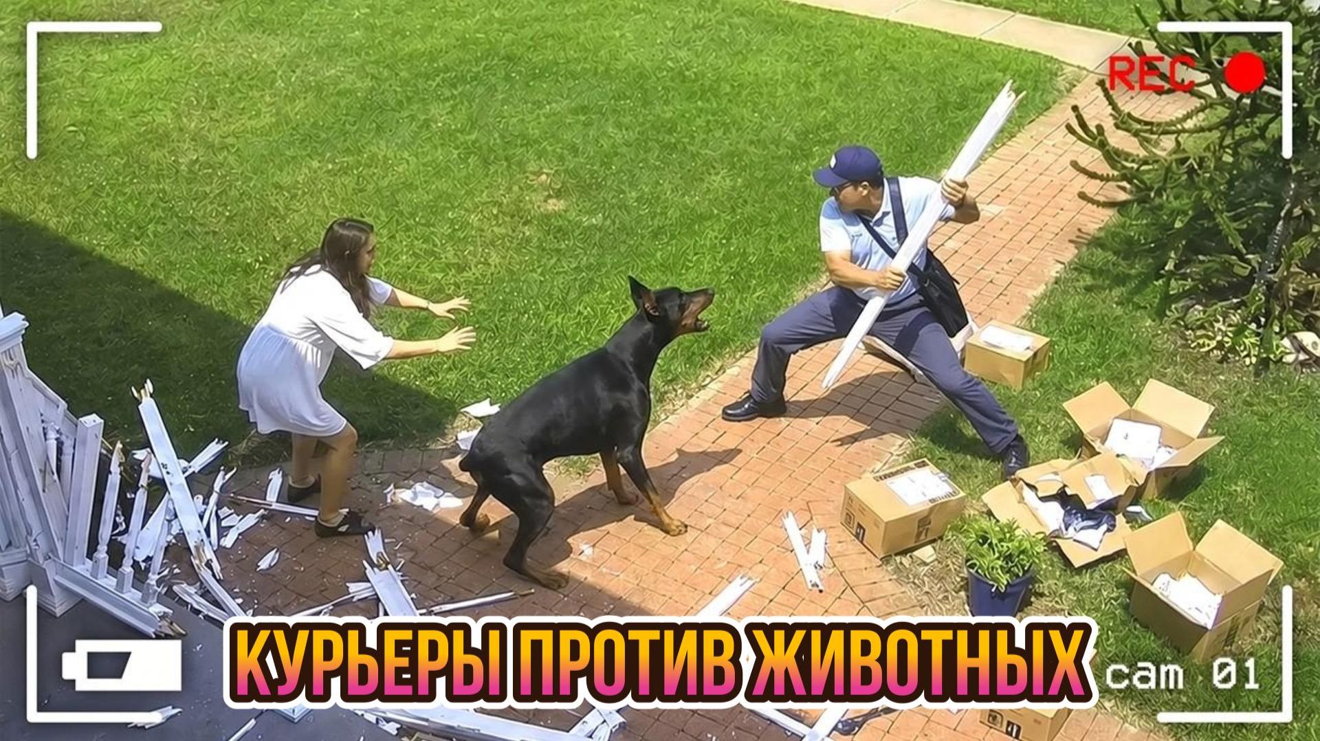 КУРЬЕРЫ ПРОТИВ ЖИВОТНЫХ! ОКЕАН ЮМОРА!